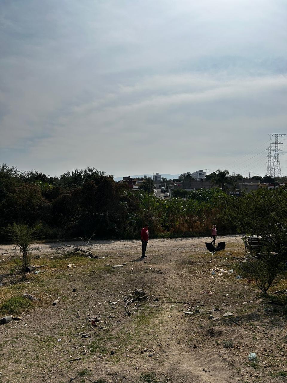 Section image