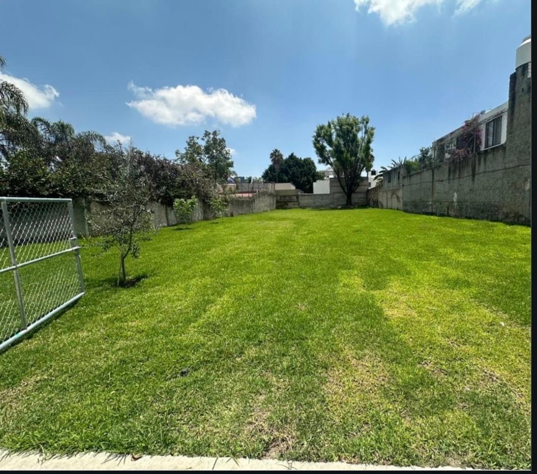 Section image