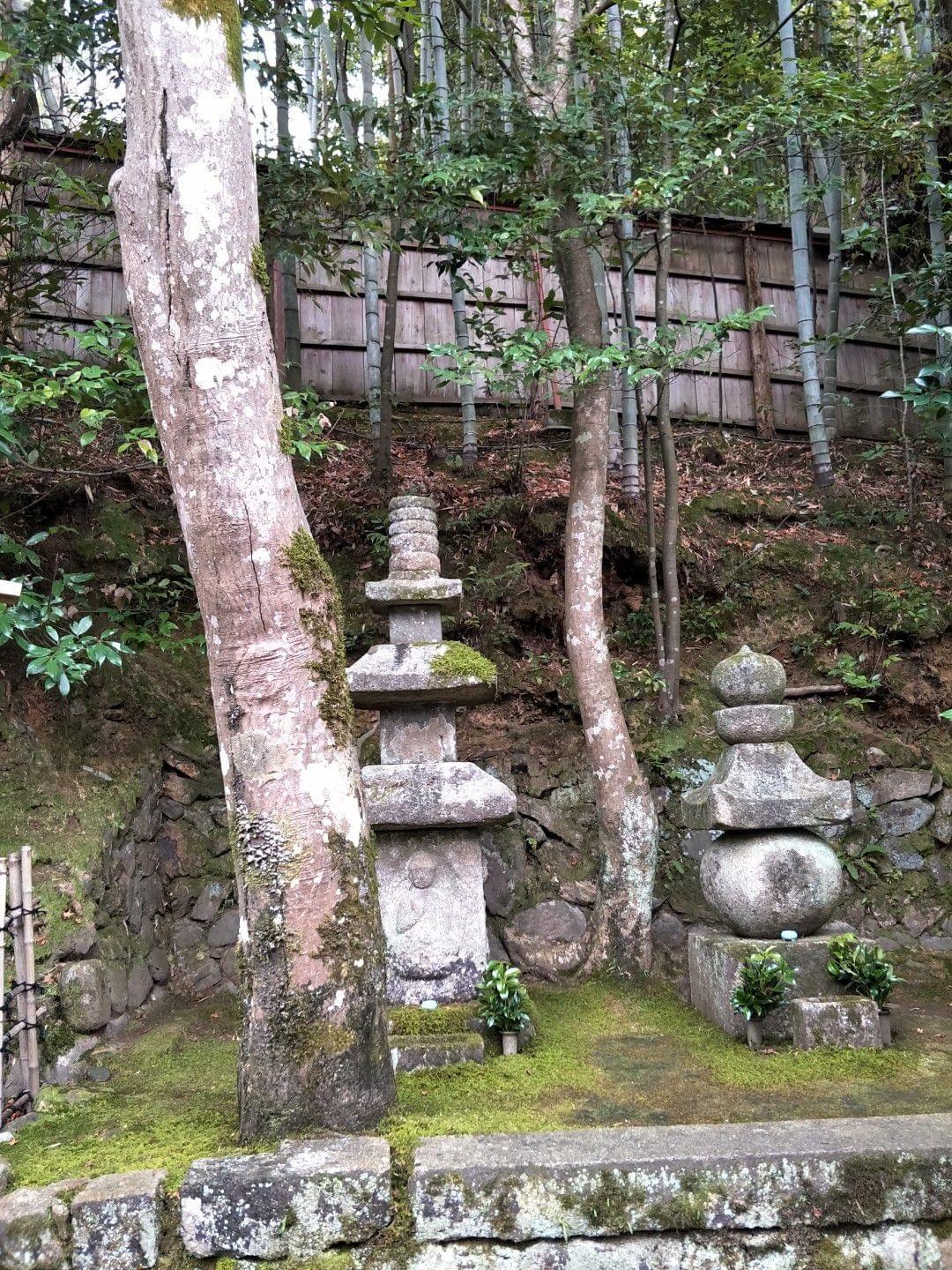 Section image