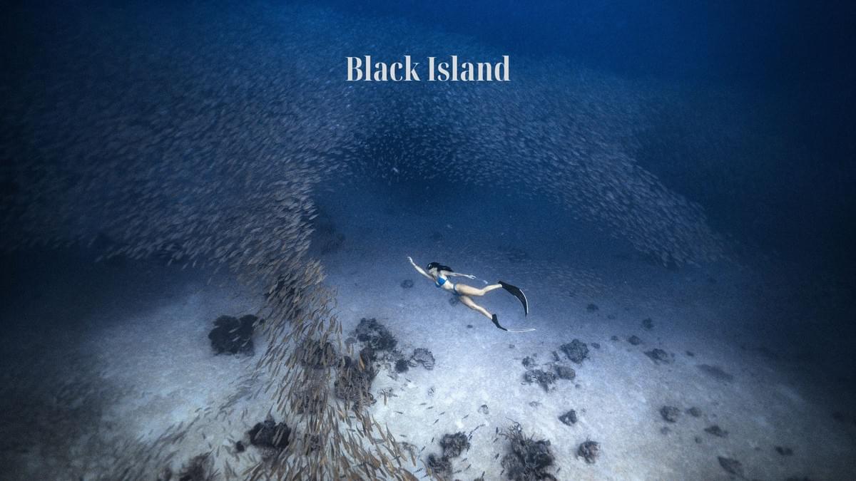 Section image