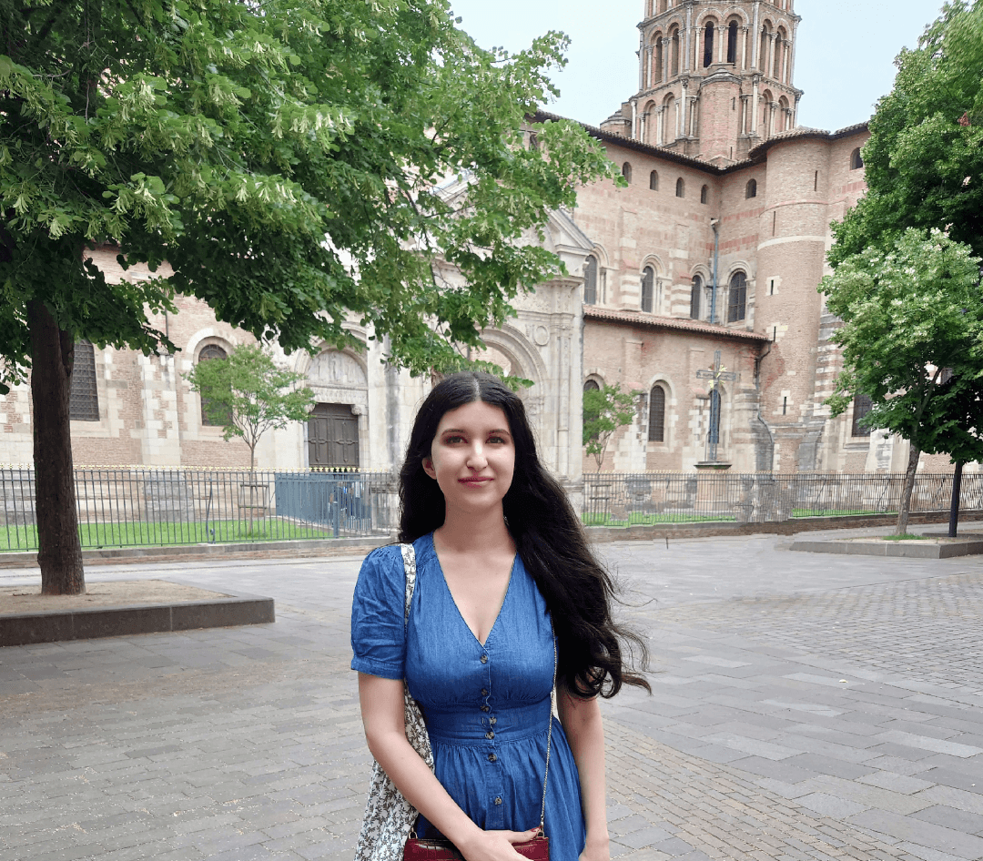 cours particuliers en ligne, brevet, bac de français, cours d'anglais cours particuliers en ligne, brevet, bac de français, cours d'anglais