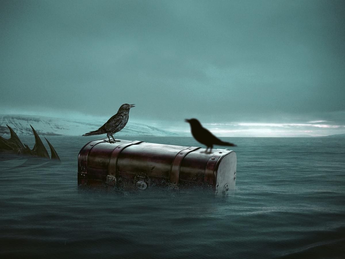 two crows perched on a chest floating in the sea. A large fin approaches two crows perched on a chest floating in the sea. A large fin approaches