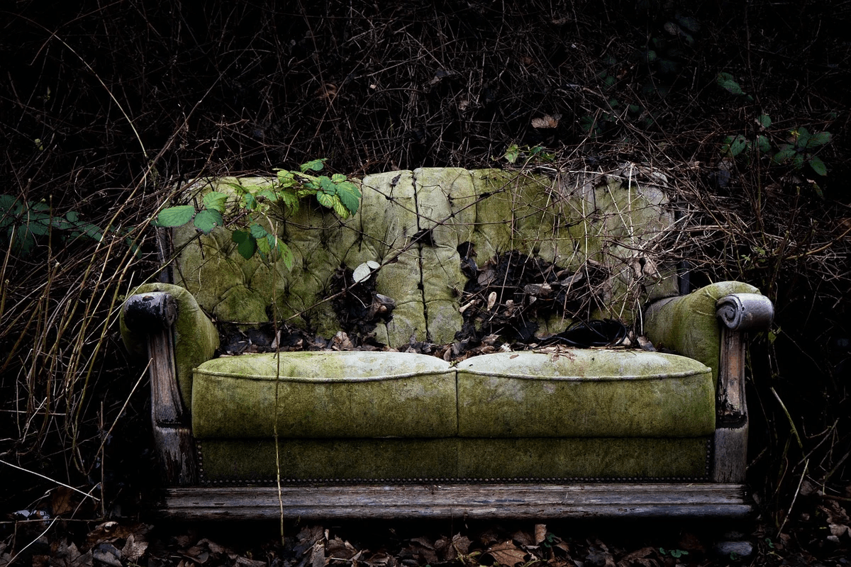 A green couch with a floral patter that has been left in a forest and is covered with plants as it sits on a pile of leaves A green couch with a floral patter that has been left in a forest and is covered with plants as it sits on a pile of leaves