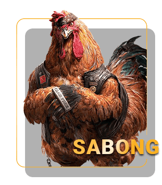 LUXYPLAY Sabong: Experience the Thrill of Cockfighting Online LUXYPLAY Sabong: Experience the Thrill of Cockfighting Online
