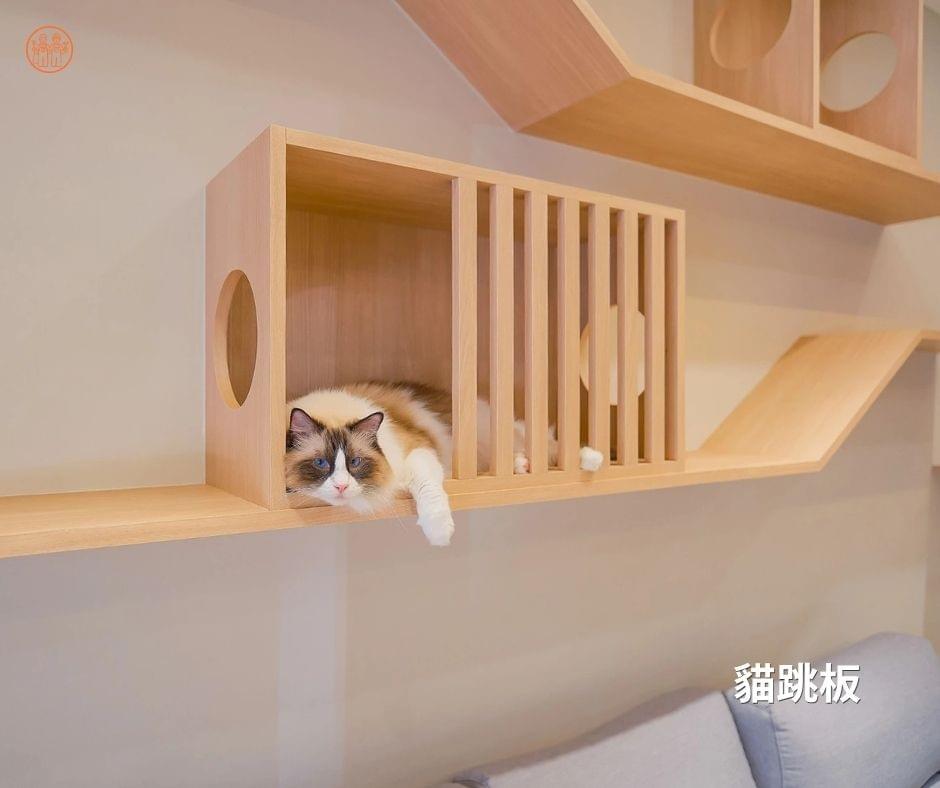 高雄貓跳台完工照片 高雄貓跳台完工照片