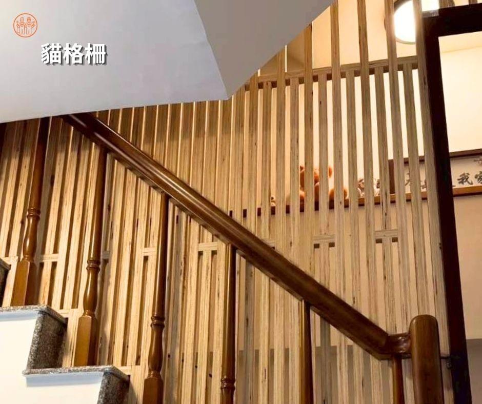 高雄貓格柵完工照片 高雄貓格柵完工照片