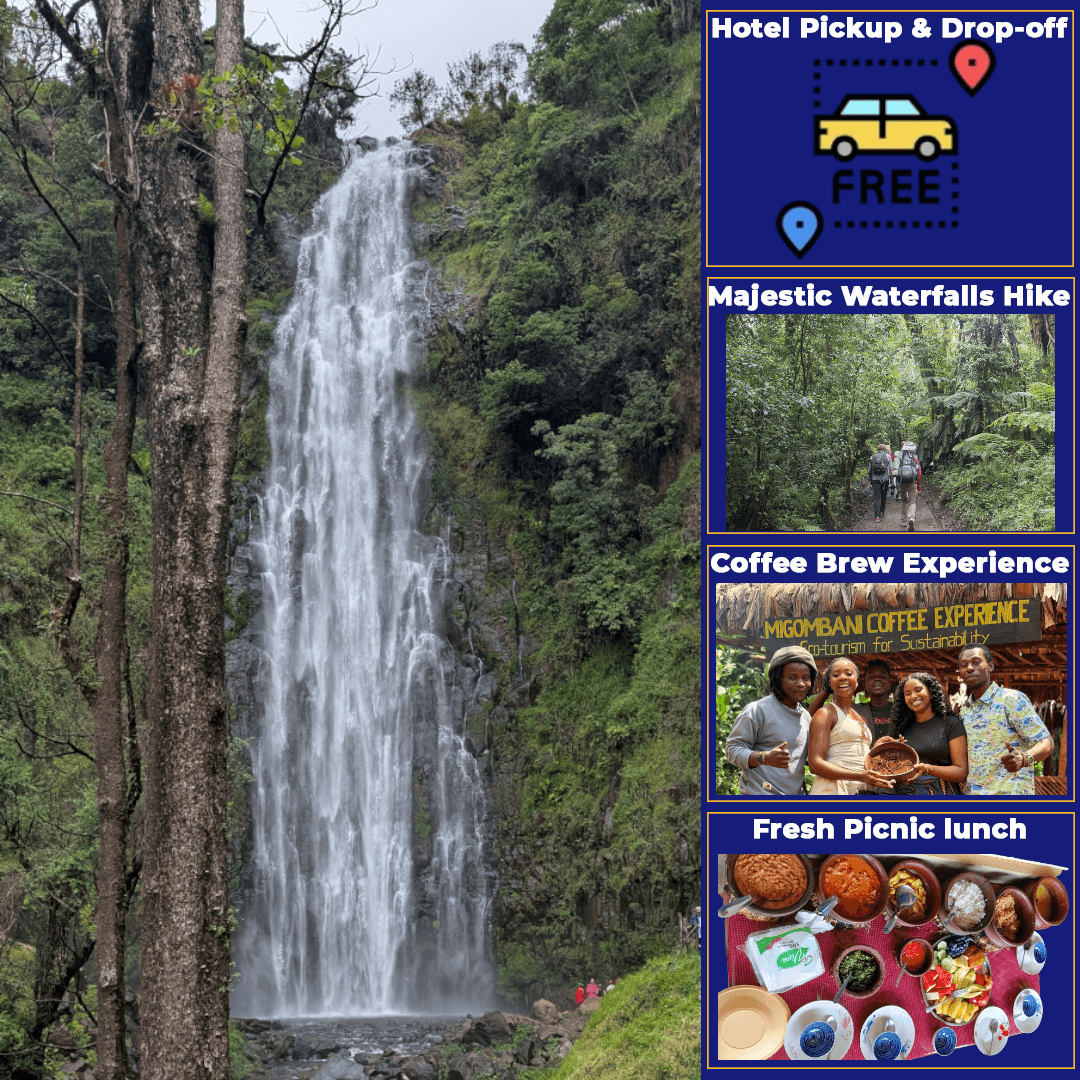 Join us for an immersive day trip combining scenic mountain treks, authentic coffee farming lessons, traditional brewing methods, and panoramic vistas of Kilimanjaro’s base, allowing you to connect deeply with the cultural heritage of the Chagga people. Join us for an immersive day trip combining scenic mountain treks, authentic coffee farming lessons, traditional brewing methods, and panoramic vistas of Kilimanjaro’s base, allowing you to connect deeply with the cultural heritage of the Chagga people.