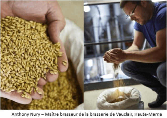 Anthony Nury - Maître brasseur de la brasserie de Vauclair, Haute-Marne Anthony Nury - Maître brasseur de la brasserie de Vauclair, Haute-Marne