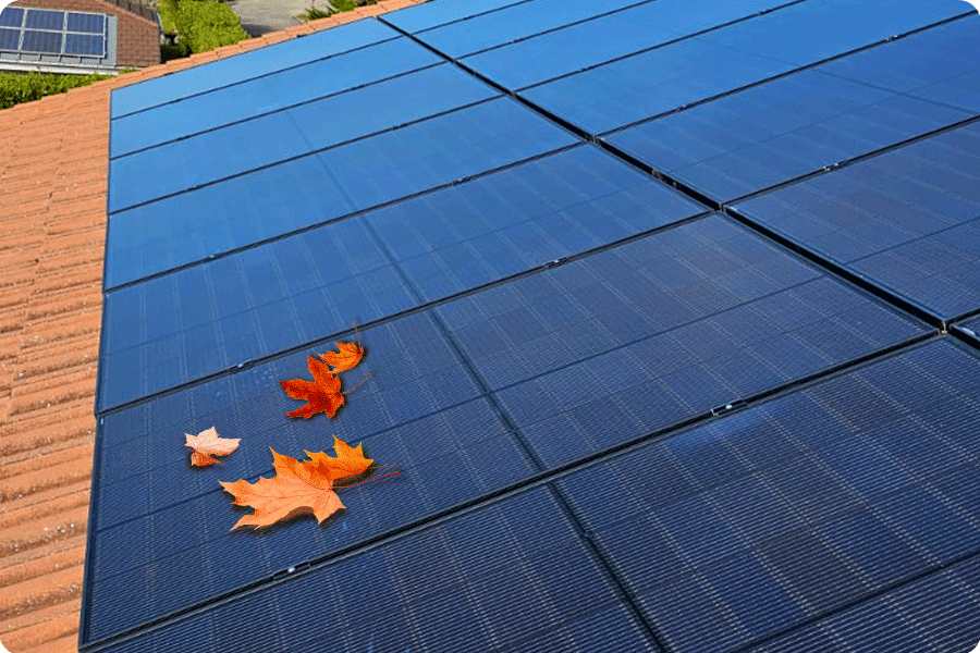 Im Herbst angesammelte Blätter auf der Oberfläche von PV-Modulen verringern die Stromerzeugungseffizienz Im Herbst angesammelte Blätter auf der Oberfläche von PV-Modulen verringern die Stromerzeugungseffizienz