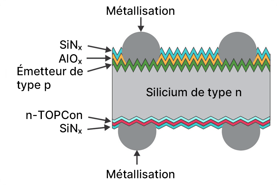 Schéma de la structure de métallisation d’une cellule solaire TOPCon, illustrant le rôle de l’émetteur, des couches de passivation et des électrodes avant et arrière dans le transport du courant Schéma de la structure de métallisation d’une cellule solaire TOPCon, illustrant le rôle de l’émetteur, des couches de passivation et des électrodes avant et arrière dans le transport du courant