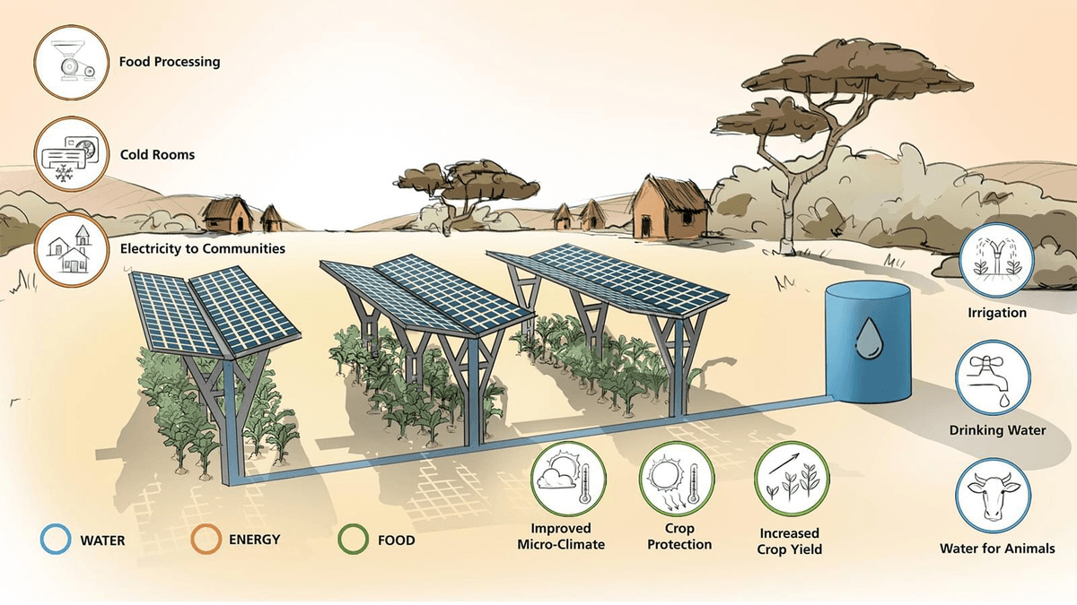 Agrivoltaik: Wie Solarzellen die Landwirtschaft verändern Agrivoltaik: Wie Solarzellen die Landwirtschaft verändern