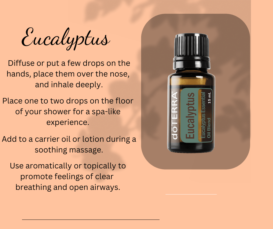 eucalyptus essential oil, essential oils louisiana eucalyptus essential oil, essential oils louisiana