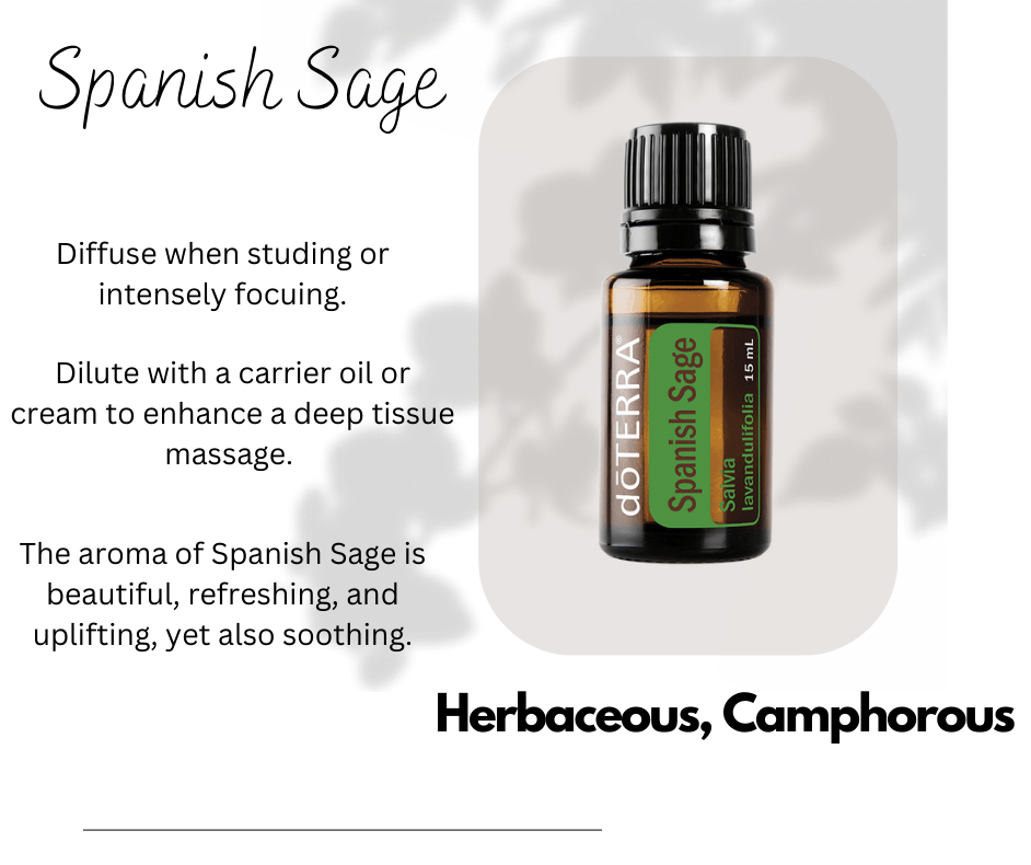 spanish sage essential oil, soothing essential oil, spanish sage louisiana spanish sage essential oil, soothing essential oil, spanish sage louisiana