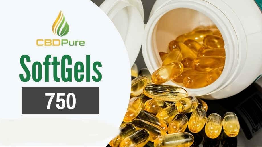 CBD Capsules : CBD Softgel Capsules CBD Capsules : CBD Softgel Capsules