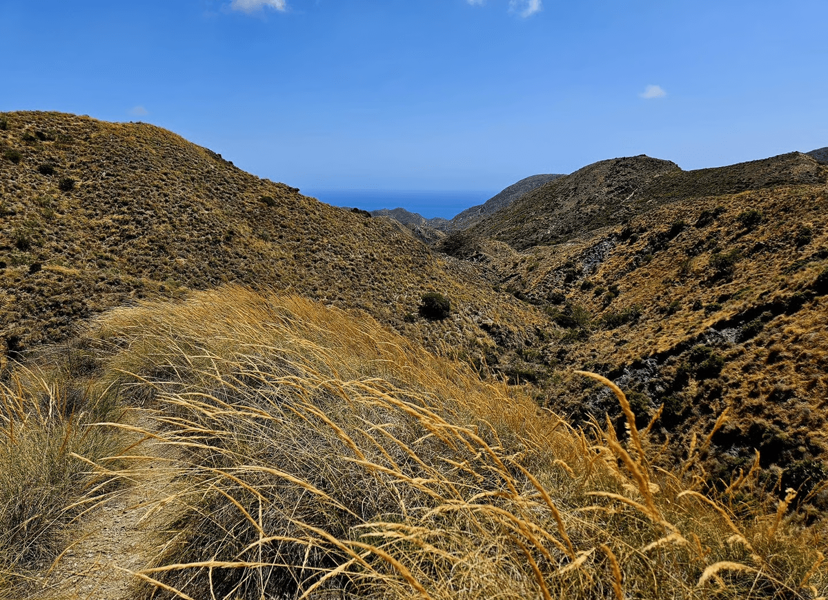Section image