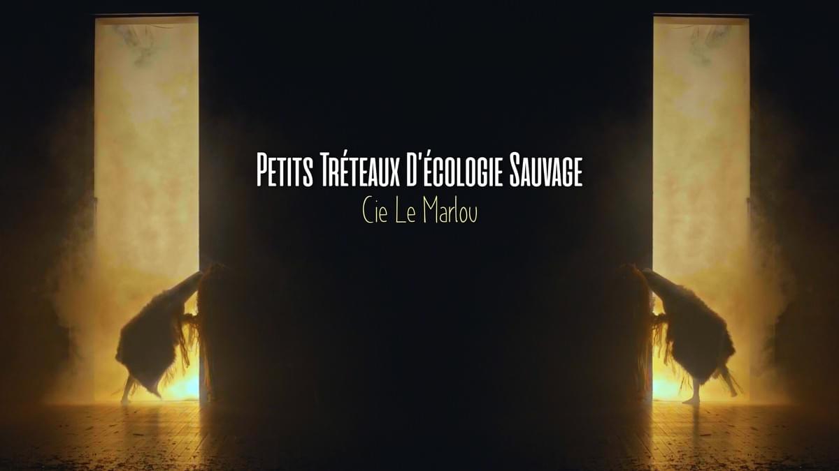 Dossier artistique Dossier artistique