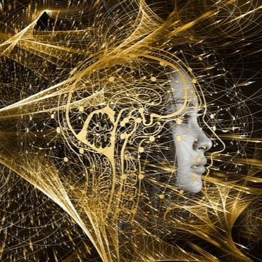 Avantages Selit Leader® / Selit consulting Avantages Selit Leader® / Selit consulting