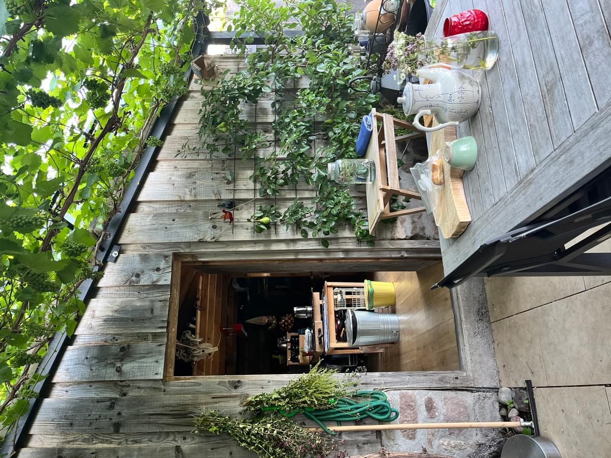 NEW RETRAITE FEMMES MERVEILLEUSES - Vosges du 14 au 17 mai