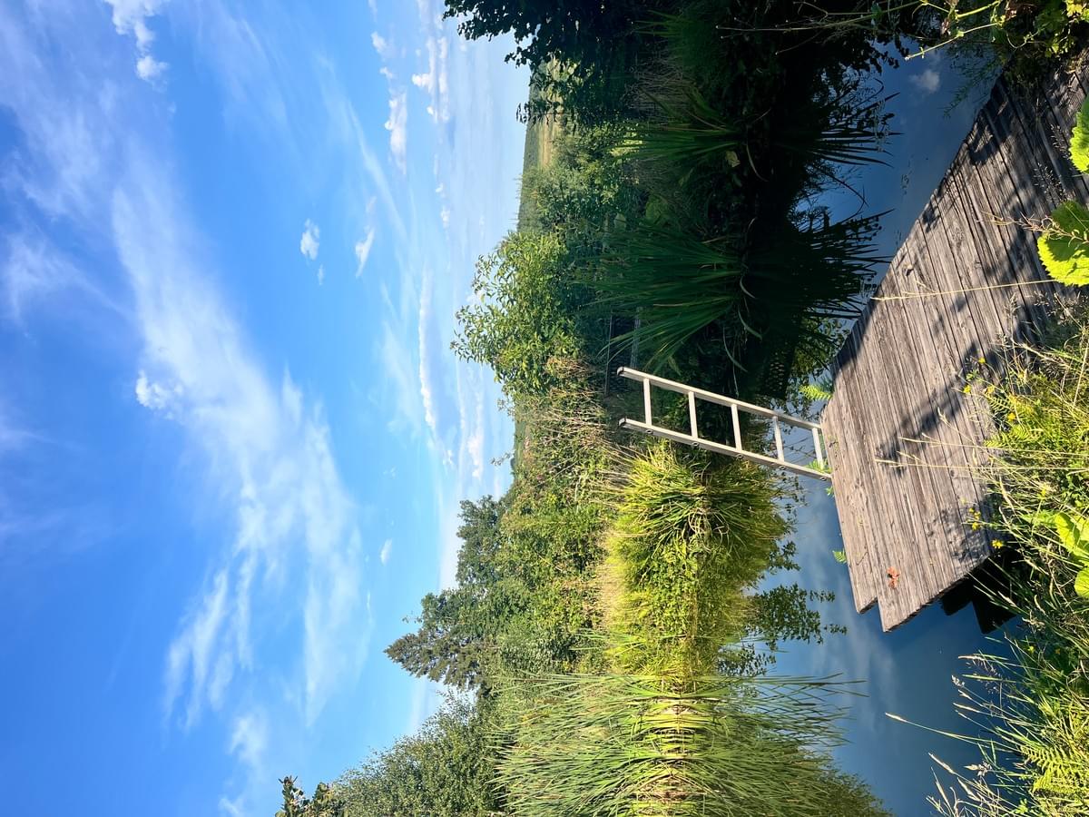 NEW RETRAITE FEMMES MERVEILLEUSES - Vosges du 14 au 17 mai