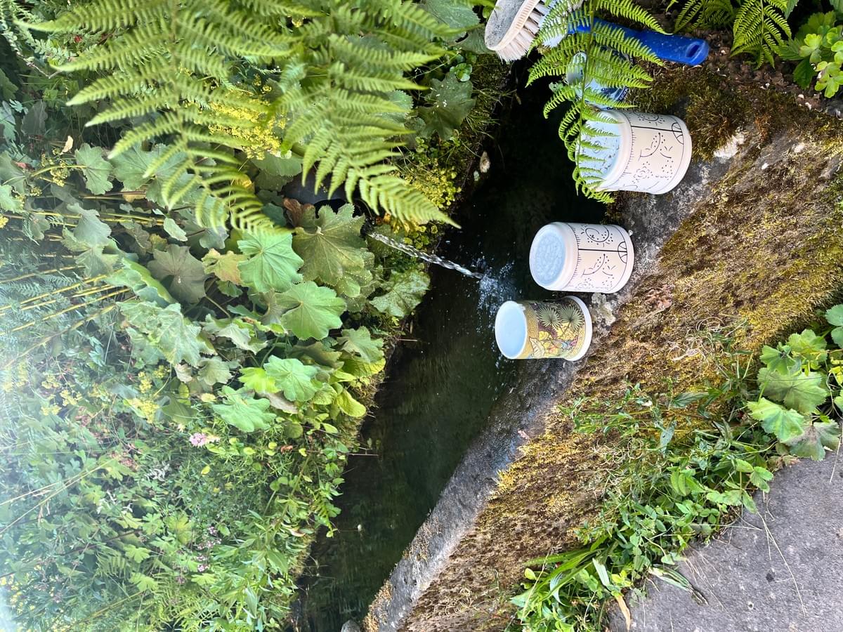 NEW RETRAITE FEMMES MERVEILLEUSES - Vosges du 14 au 17 mai