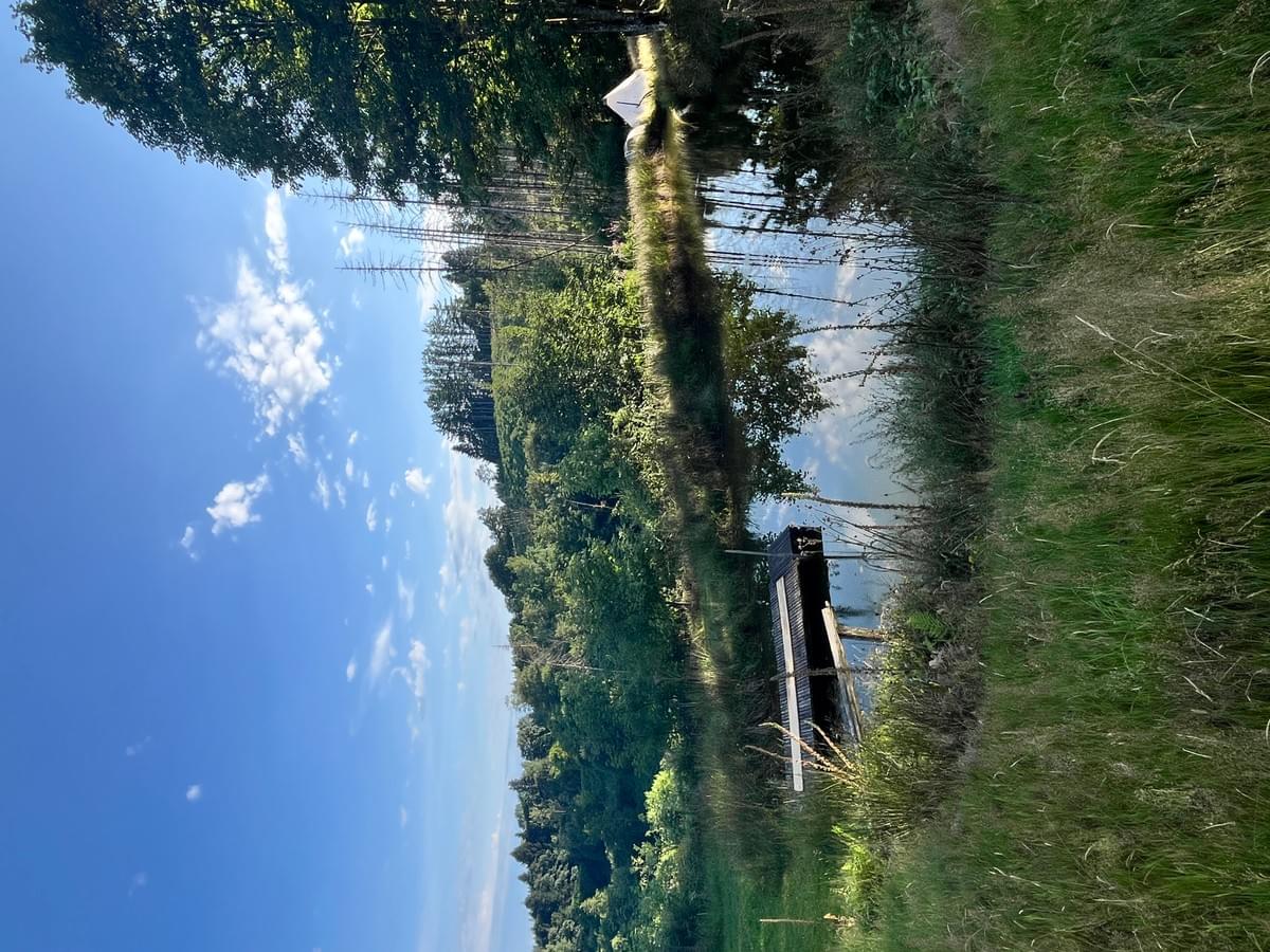 NEW RETRAITE FEMMES MERVEILLEUSES - Vosges du 14 au 17 mai