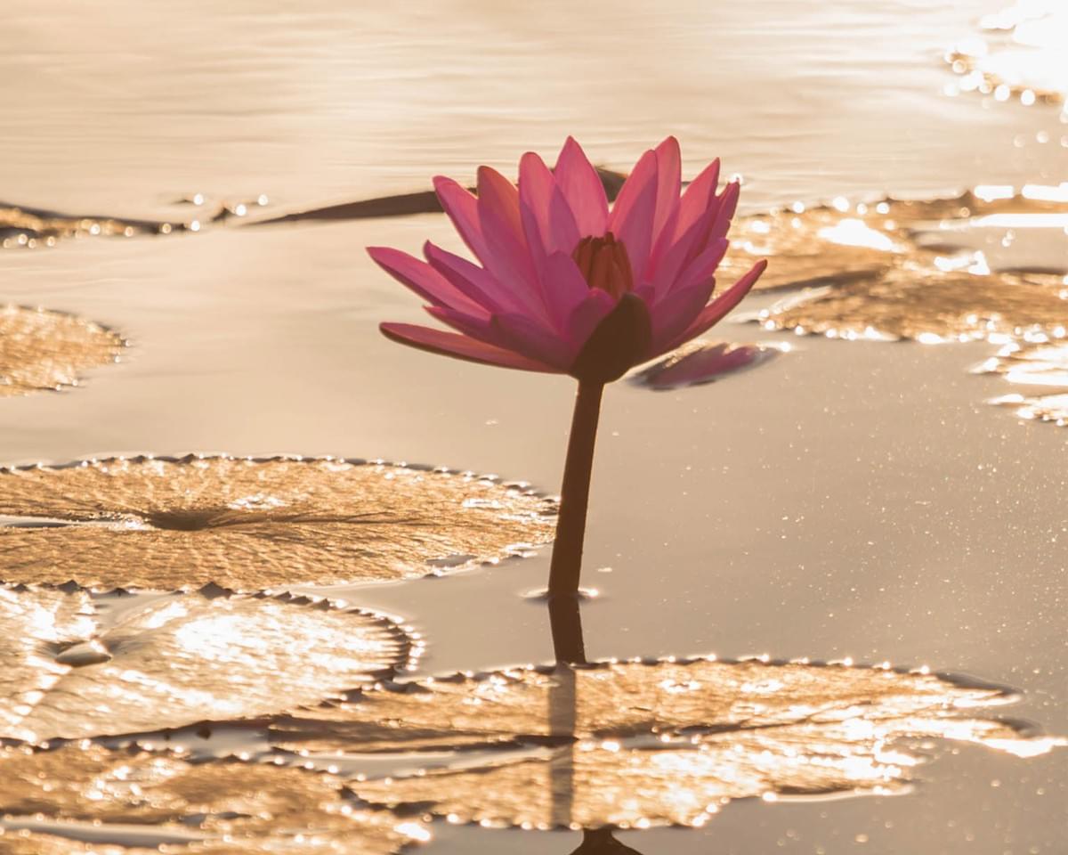 coach ménopause Nice, accompagnement préménopause Nice, spécialiste ménopause Alpes-Maritimes coach ménopause Nice, accompagnement préménopause Nice, spécialiste ménopause Alpes-Maritimes