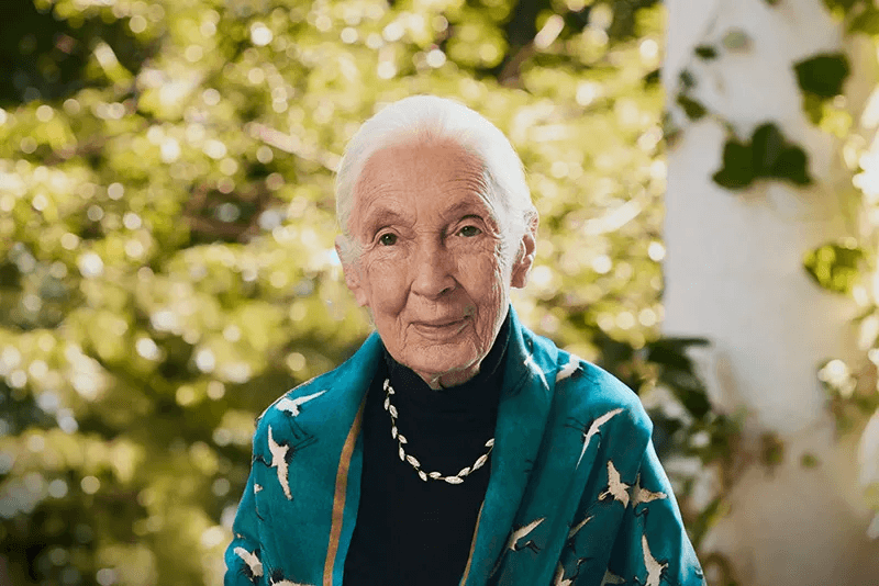 Dr. Jane Goodall wearing Brilliant Earth’s eco-friendly jewelry crafted with lab-grown diamonds. Dr. Jane Goodall wearing Brilliant Earth’s eco-friendly jewelry crafted with lab-grown diamonds.