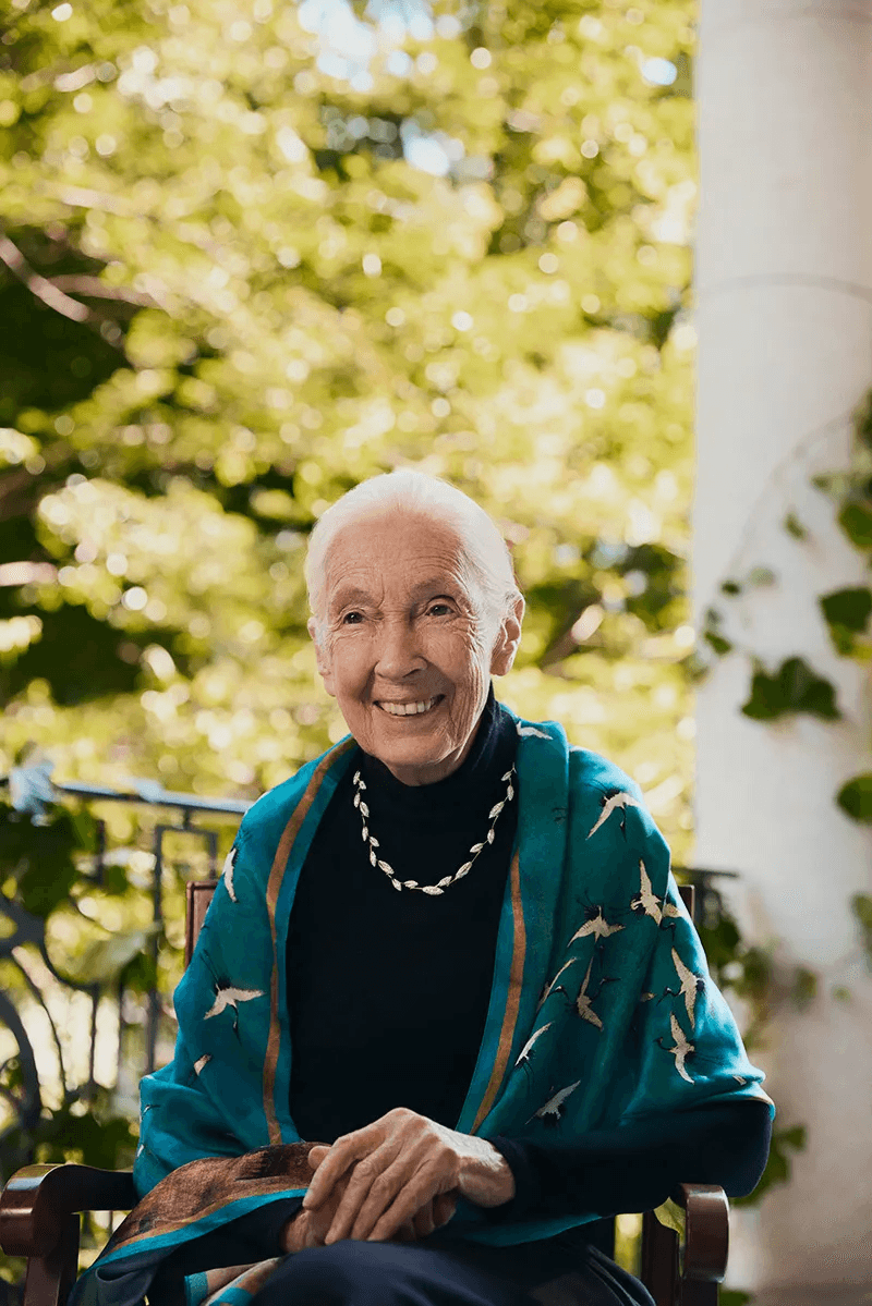 Dr. Jane Goodall models Brilliant Earth’s limited-edition lab-grown diamond jewelry collection. Dr. Jane Goodall models Brilliant Earth’s limited-edition lab-grown diamond jewelry collection.