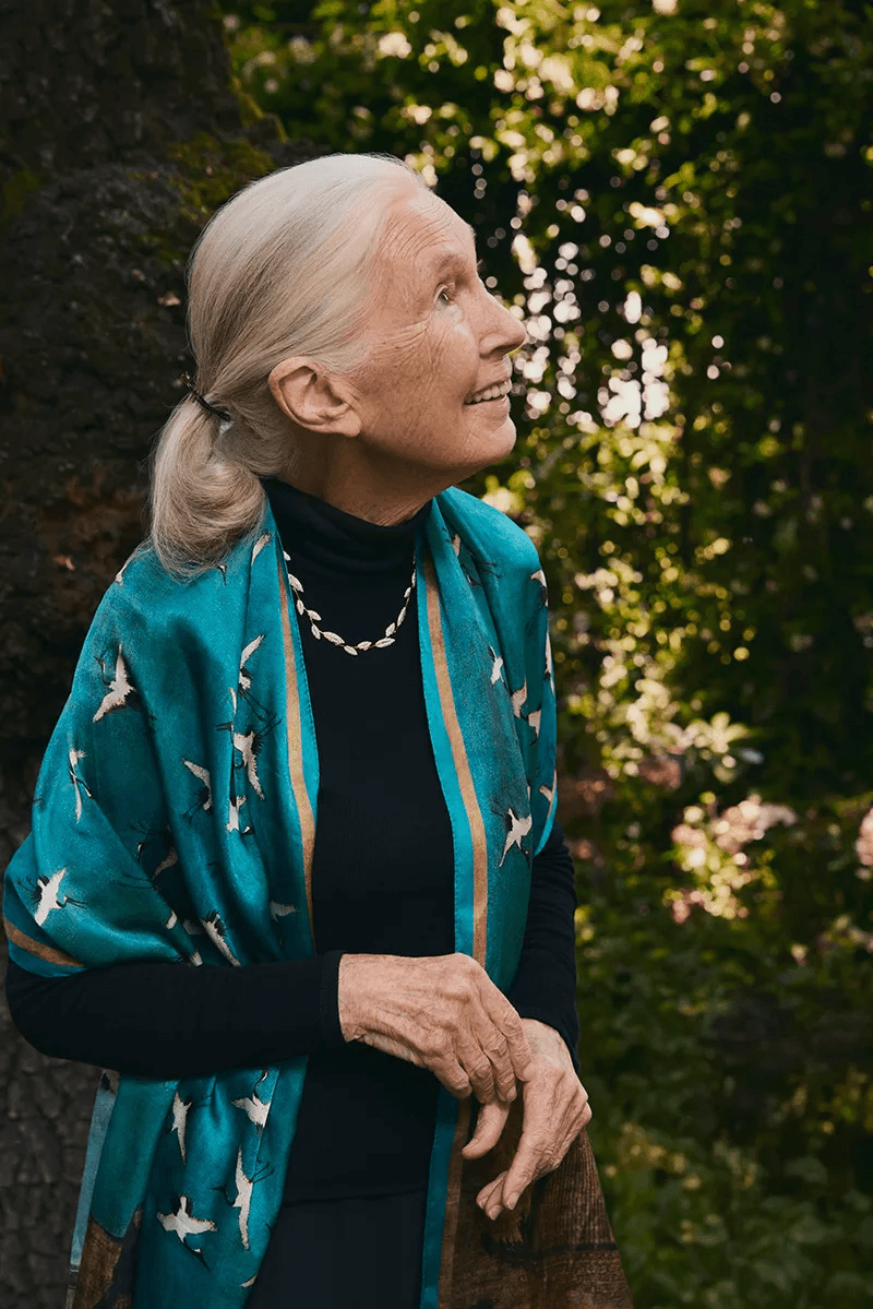 Dr. Jane Goodall showcases Brilliant Earth’s ethical jewelry collaboration, featuring lab-grown diamonds. Dr. Jane Goodall showcases Brilliant Earth’s ethical jewelry collaboration, featuring lab-grown diamonds.