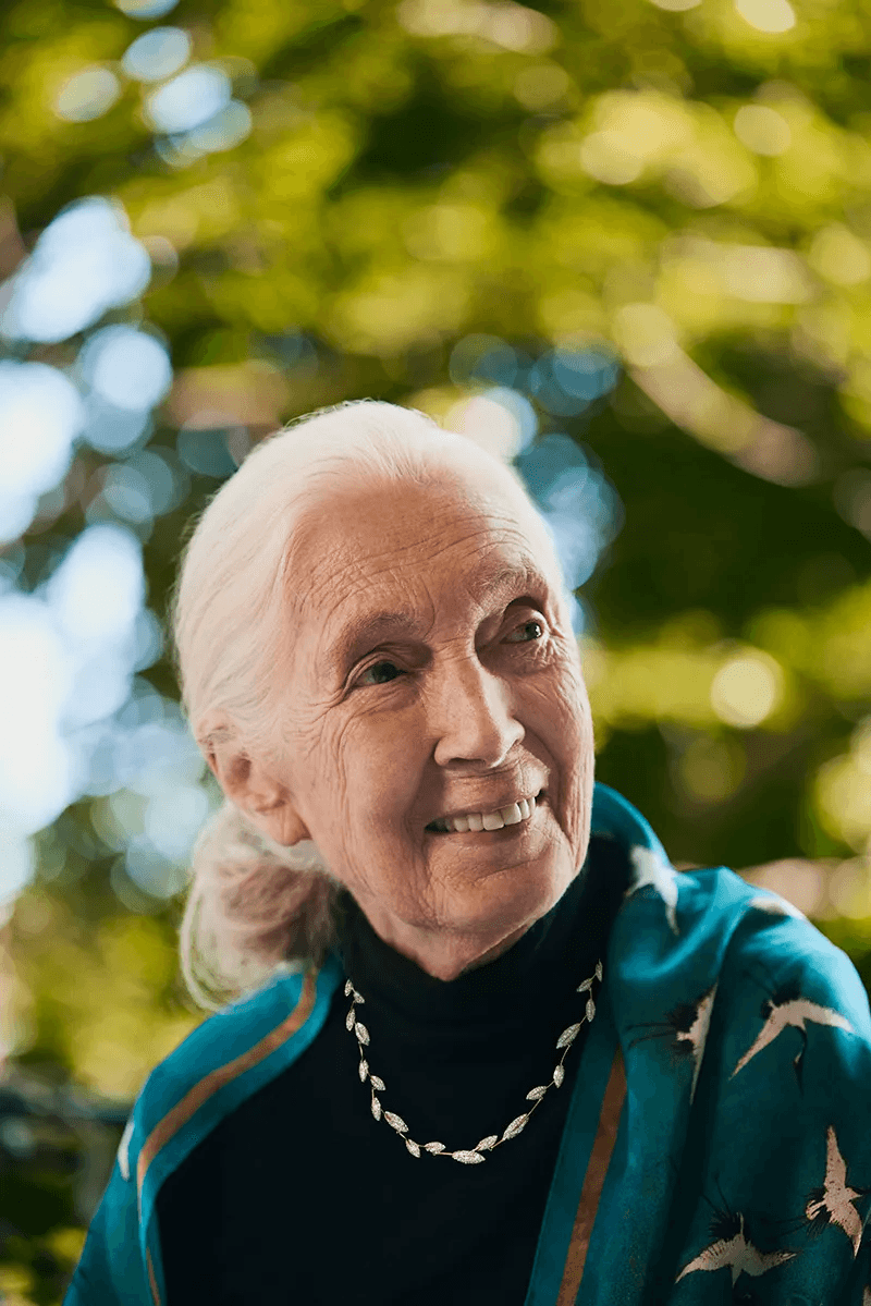Dr. Jane Goodall wears Brilliant Earth’s new sustainable jewelry with lab-grown diamonds. Dr. Jane Goodall wears Brilliant Earth’s new sustainable jewelry with lab-grown diamonds.