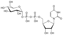 ChemSourcePro Chemical Structure for Uridine diphosphate glucose (UDP-Glc) (133-89-1) ChemSourcePro Chemical Structure for Uridine diphosphate glucose (UDP-Glc) (133-89-1)