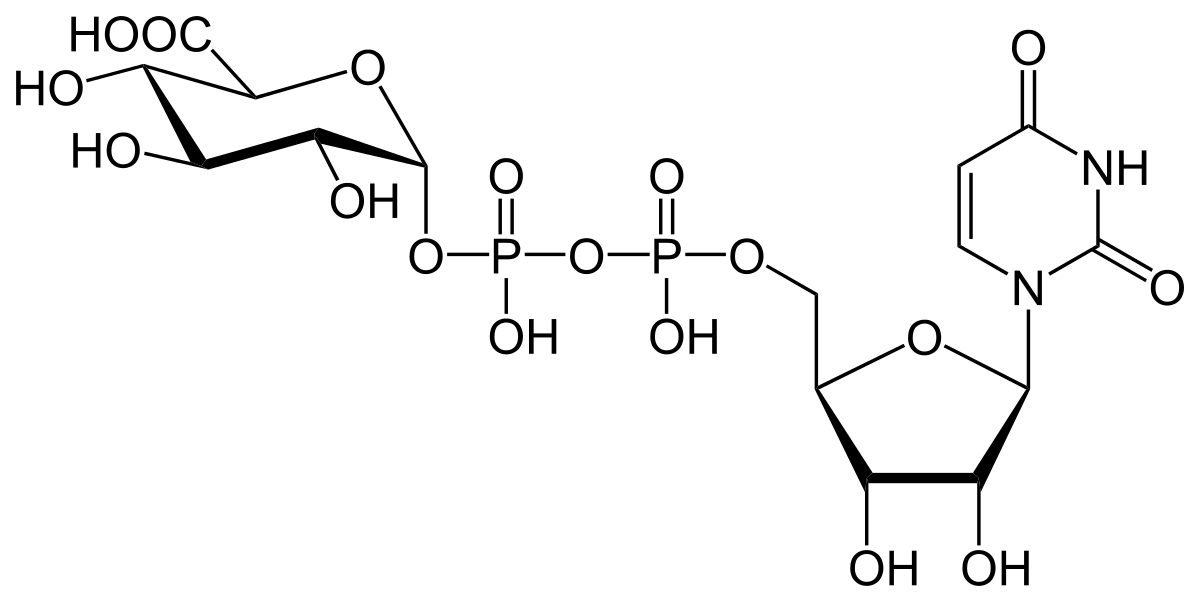 ChemSourcePro Chemical Structure for Uridine diphosphate glucuronic acid (UDP-GlcA) (2616-64-0) ChemSourcePro Chemical Structure for Uridine diphosphate glucuronic acid (UDP-GlcA) (2616-64-0)