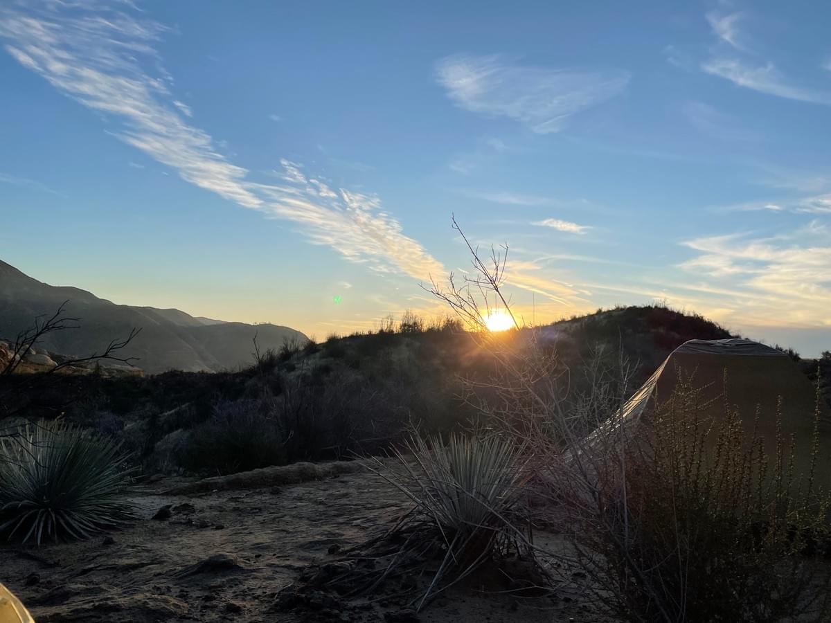 Link to Deep Connection Link to Deep Connection