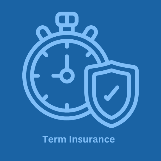 term insurance term insurance
