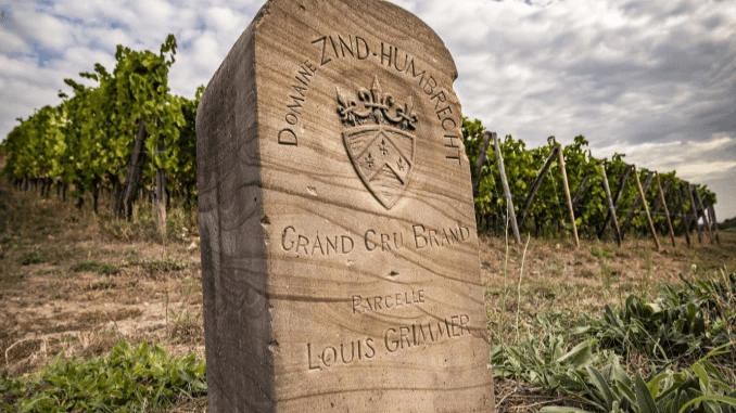 Section image