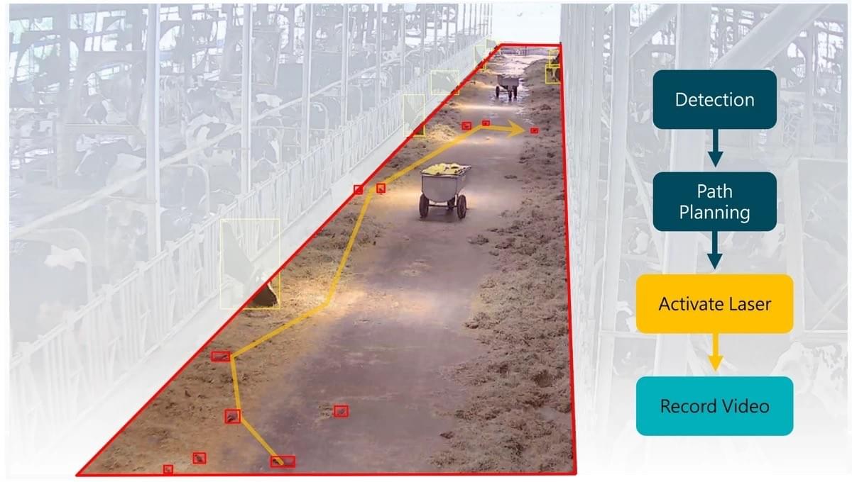 An workflow infographic to show how iChase’s bird laser works. An workflow infographic to show how iChase’s bird laser works.