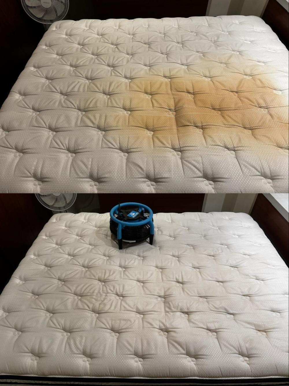 講究清潔床墊清潔案例 講究清潔床墊清潔案例