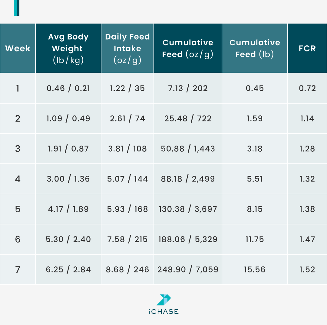 A table displaying the weekly growth data of broilers. A table displaying the weekly growth data of broilers.