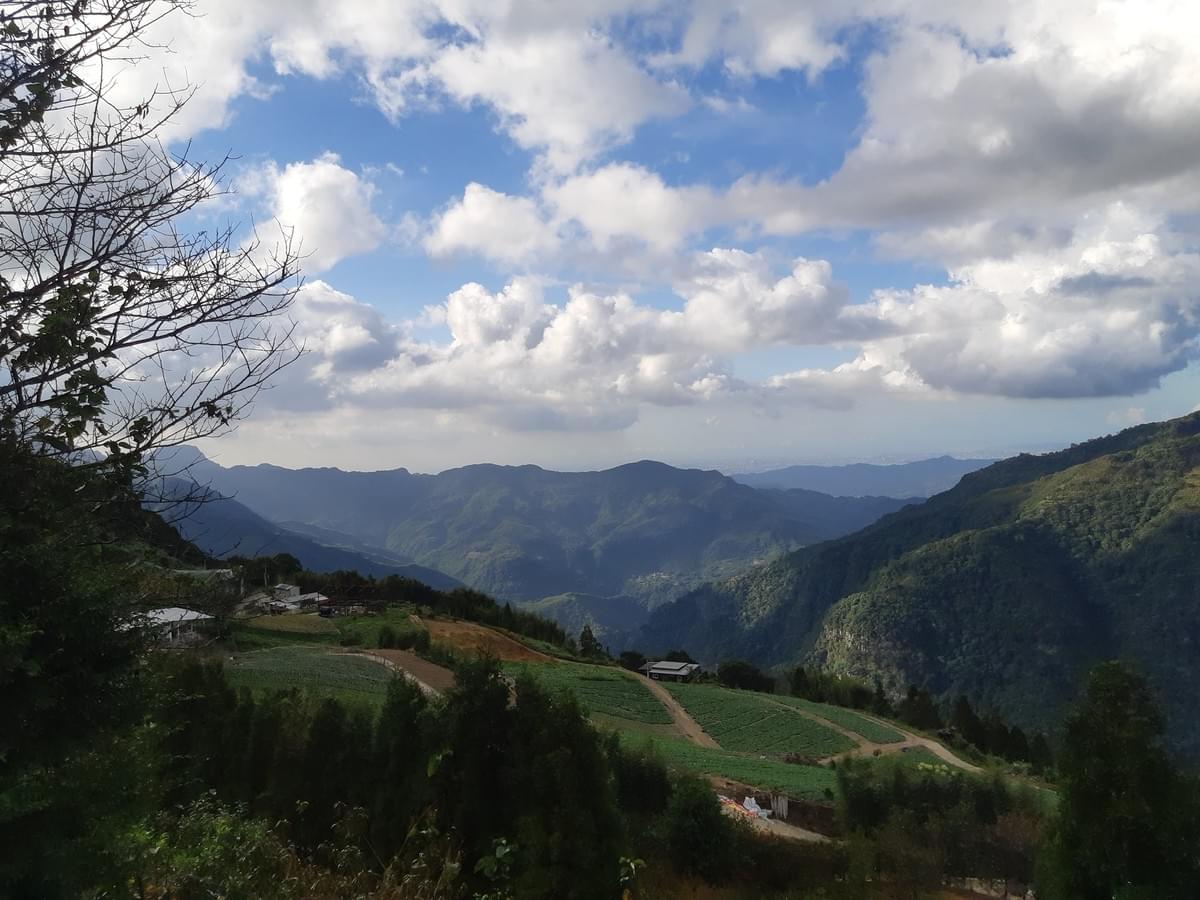 復興區的雪霧鬧部落,到達山頂可以遠眺台北101,是椴木香菇的起源地。 復興區的雪霧鬧部落,到達山頂可以遠眺台北101,是椴木香菇的起源地。