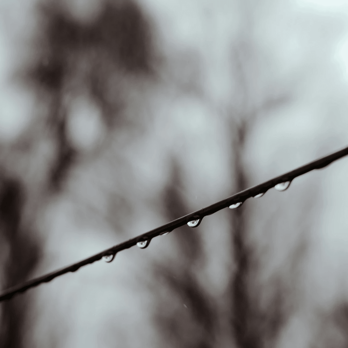 經文一方面暗示剩餘者被擄搬遷的日常,亦透過耶路撒冷周邊城市的搬遷,暗示了剩餘之人領袖的算計,以及戰後剩餘之人的不安。(www.pexels.com By Valeriia Miller) 經文一方面暗示剩餘者被擄搬遷的日常,亦透過耶路撒冷周邊城市的搬遷,暗示了剩餘之人領袖的算計,以及戰後剩餘之人的不安。(www.pexels.com By Valeriia Miller)