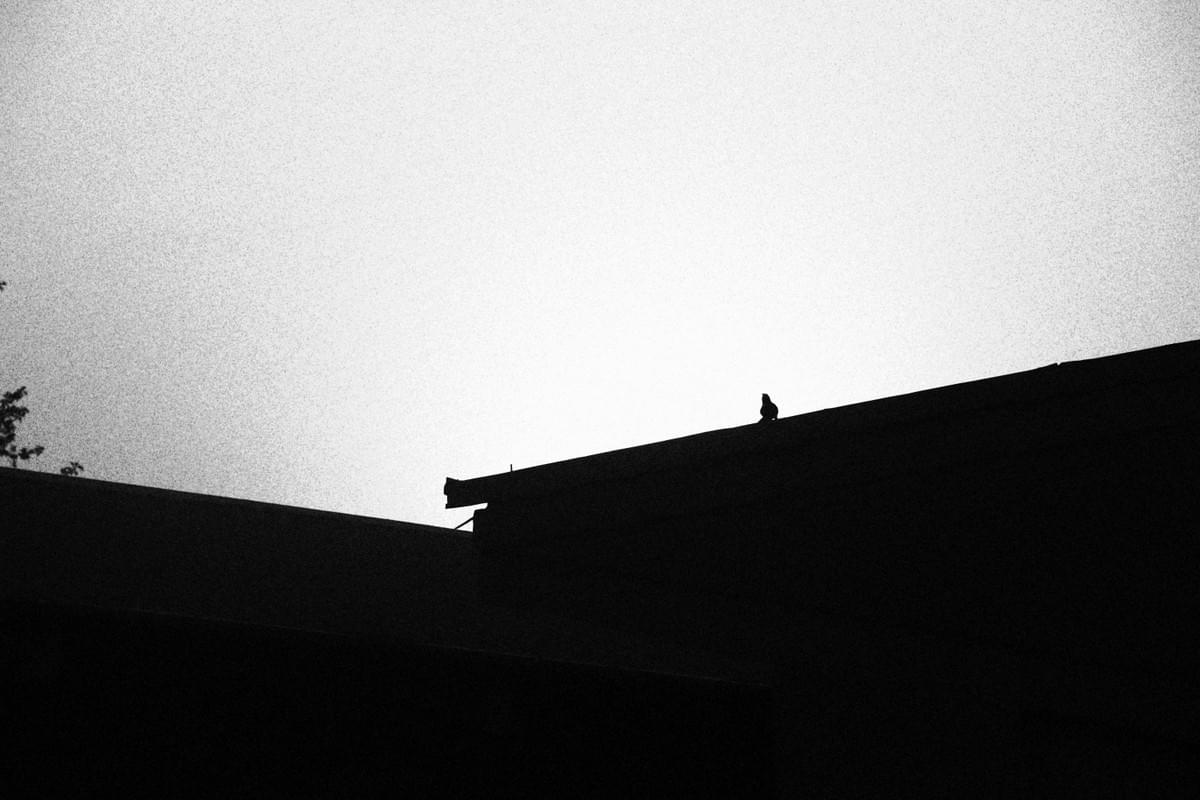 若我們認出其背後的「申命記史觀」,怎樣貶低留在「無人之地」,甚至避居埃及者,就有機會將邊緣群體的聲音納入考量。(www.pexels.com By Meshack Emmanuel Kazanshyi) 若我們認出其背後的「申命記史觀」,怎樣貶低留在「無人之地」,甚至避居埃及者,就有機會將邊緣群體的聲音納入考量。(www.pexels.com By Meshack Emmanuel Kazanshyi)