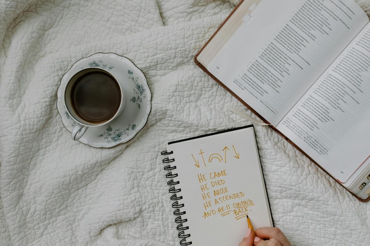 https://www.pexels.com By Tara Winstead https://www.pexels.com By Tara Winstead