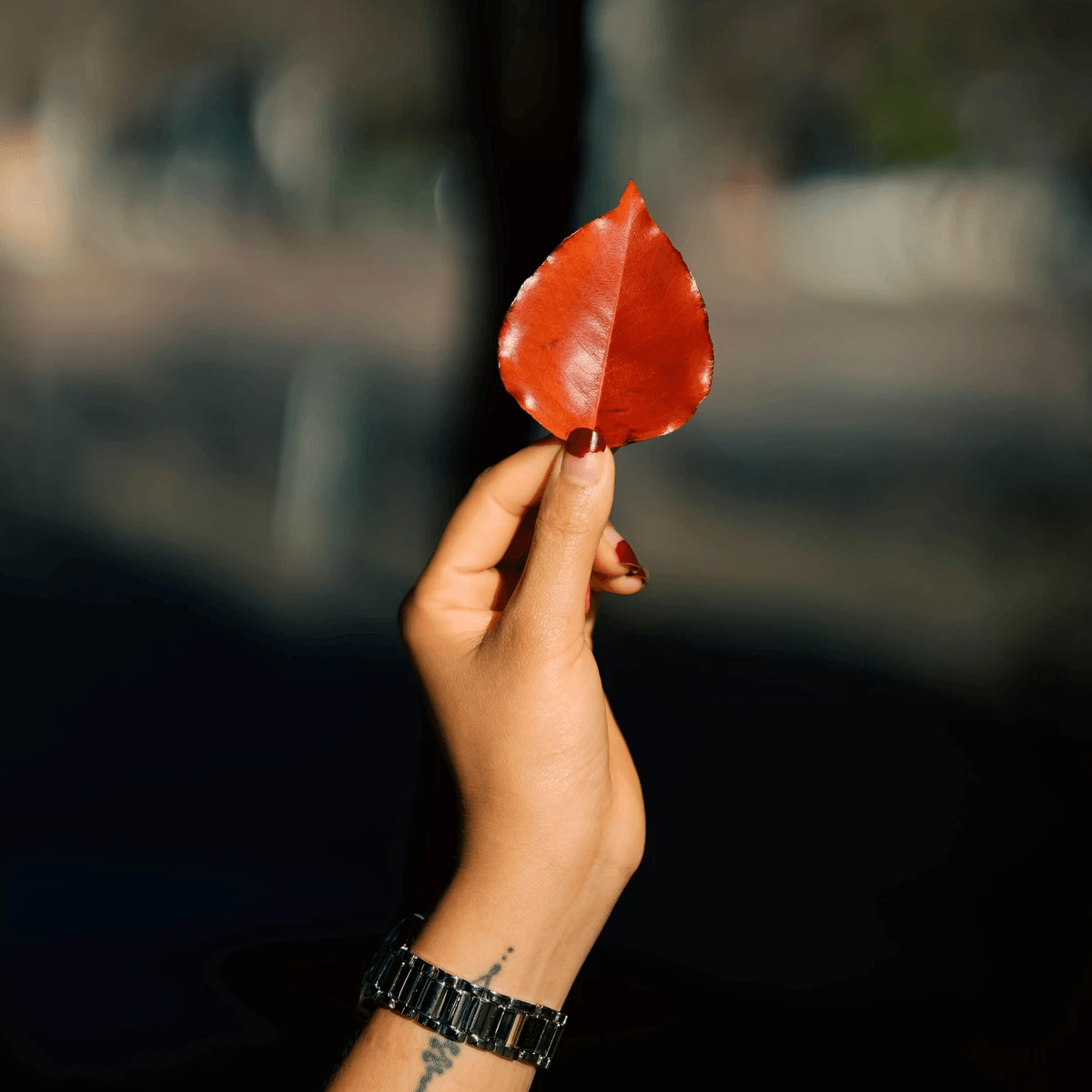 www.pexels.com By Ajay Chaudhary www.pexels.com By Ajay Chaudhary