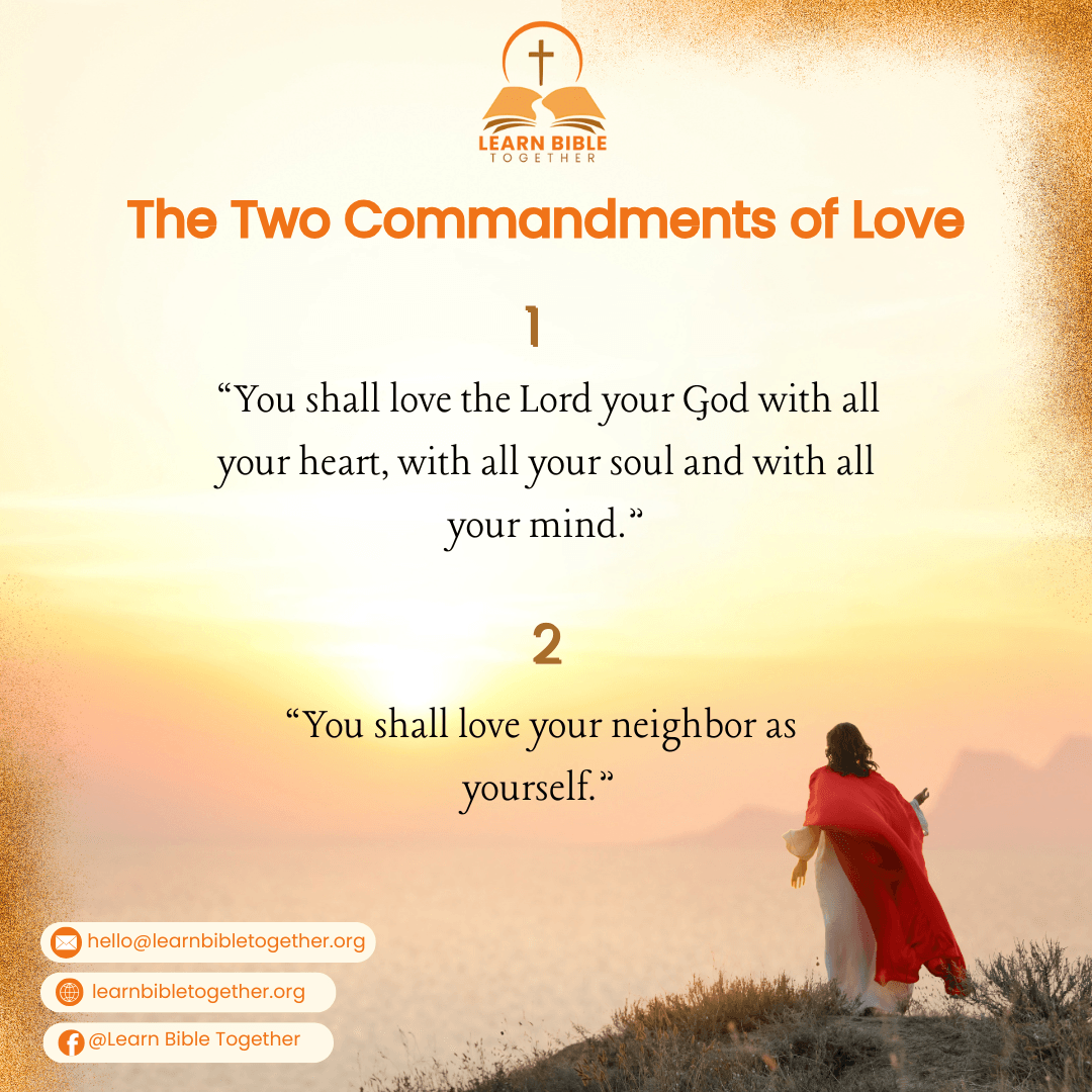 Access a variety of resources, including study guides, discussions, and multimedia tools to enhance your learning journey. Resources and Tools What We Offer Welcome to Learn Bible Together, a welcoming virtual community dedicated to deepening our understanding of the Bible while fostering meaningful relationships and meeting new friends. We hold free virtual bible study once a week 📖🤝🌟 Access a variety of resources, including study guides, discussions, and multimedia tools to enhance your learning journey. Resources and Tools What We Offer Welcome to Learn Bible Together, a welcoming virtual community dedicated to deepening our understanding of the Bible while fostering meaningful relationships and meeting new friends. We hold free virtual bible study once a week 📖🤝🌟