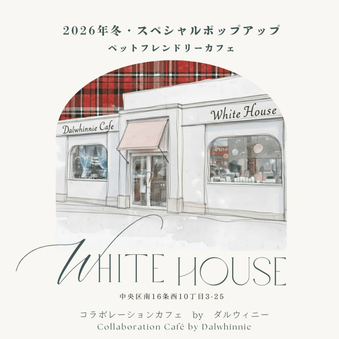 パスポート(年間・半年)のご案内|ダルウィニーエンターテイメントヴィレッジ札幌 パスポート(年間・半年)のご案内|ダルウィニーエンターテイメントヴィレッジ札幌