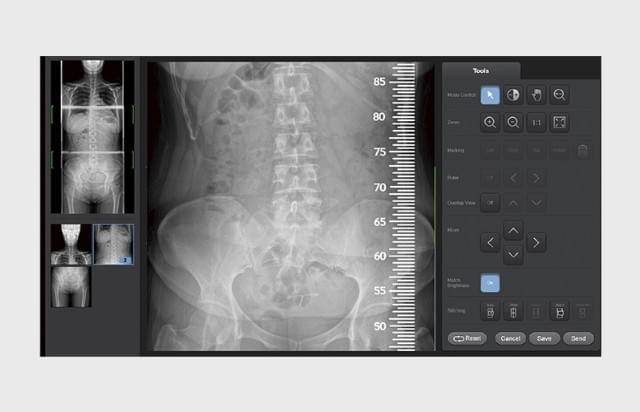 Section image