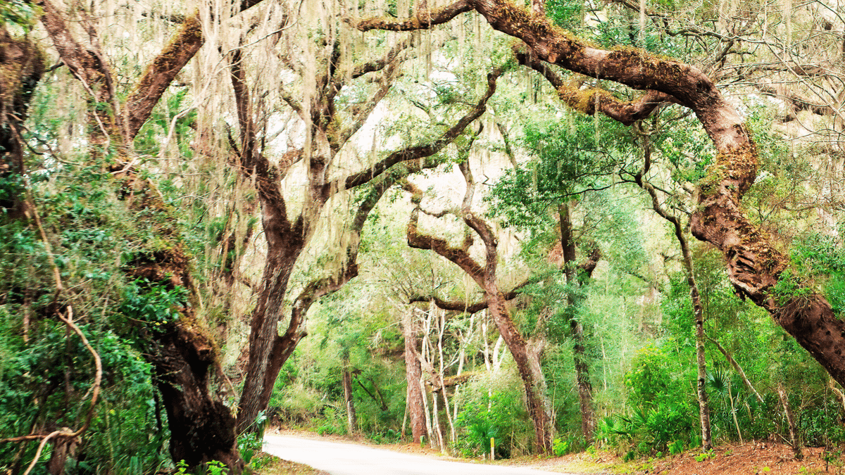 Cooper City Florida Park Cooper City Florida Park