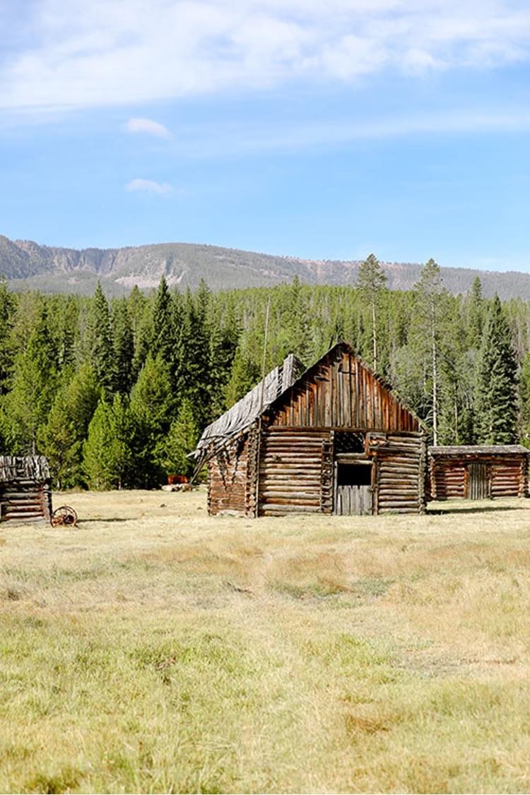 Section image