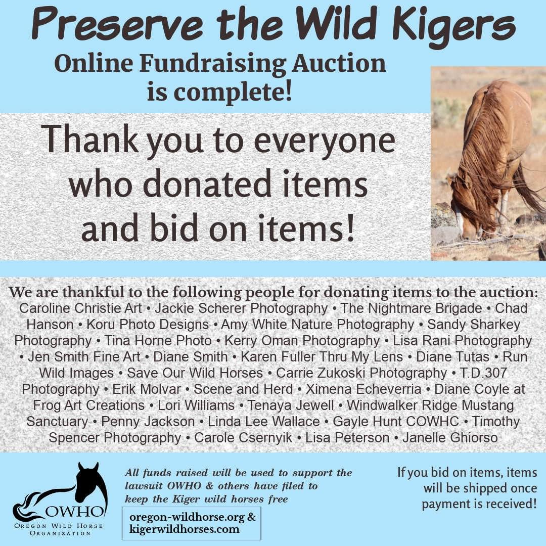 Join our mission to protect these incredible animals and their ecosystem Support the Preservation of Kiger Wild Horses Preservation and protection of the kiger wild horses, their habitat and their genetic viability within the Kiger and Riddle Mountain Horse Management Areas in Oregon. Join our mission to protect these incredible animals and their ecosystem Support the Preservation of Kiger Wild Horses Preservation and protection of the kiger wild horses, their habitat and their genetic viability within the Kiger and Riddle Mountain Horse Management Areas in Oregon.