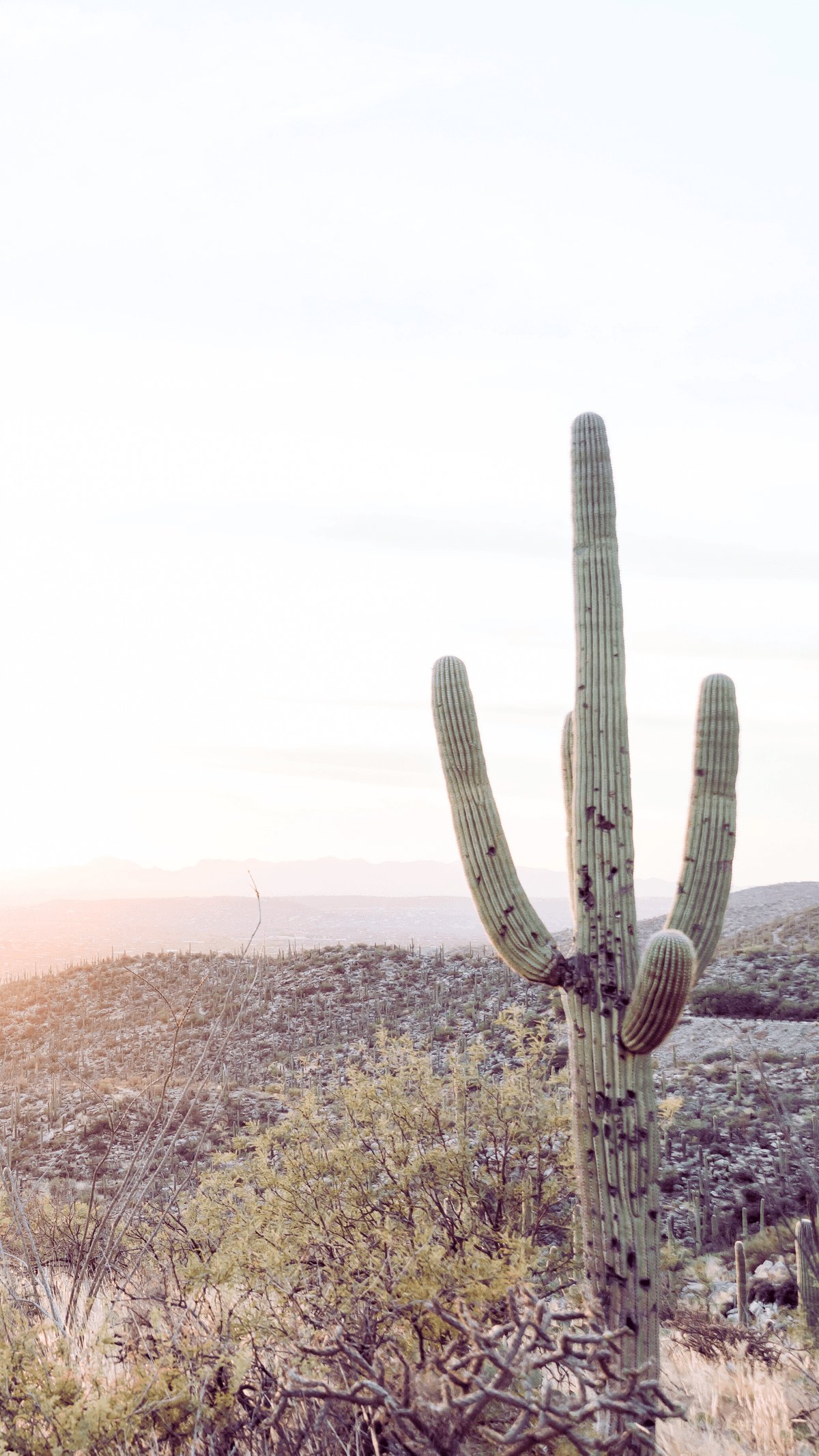 Queen Creek Arizona Queen Creek Arizona